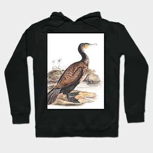 Great Cormorant by Elizabeth Gwillim Hoodie